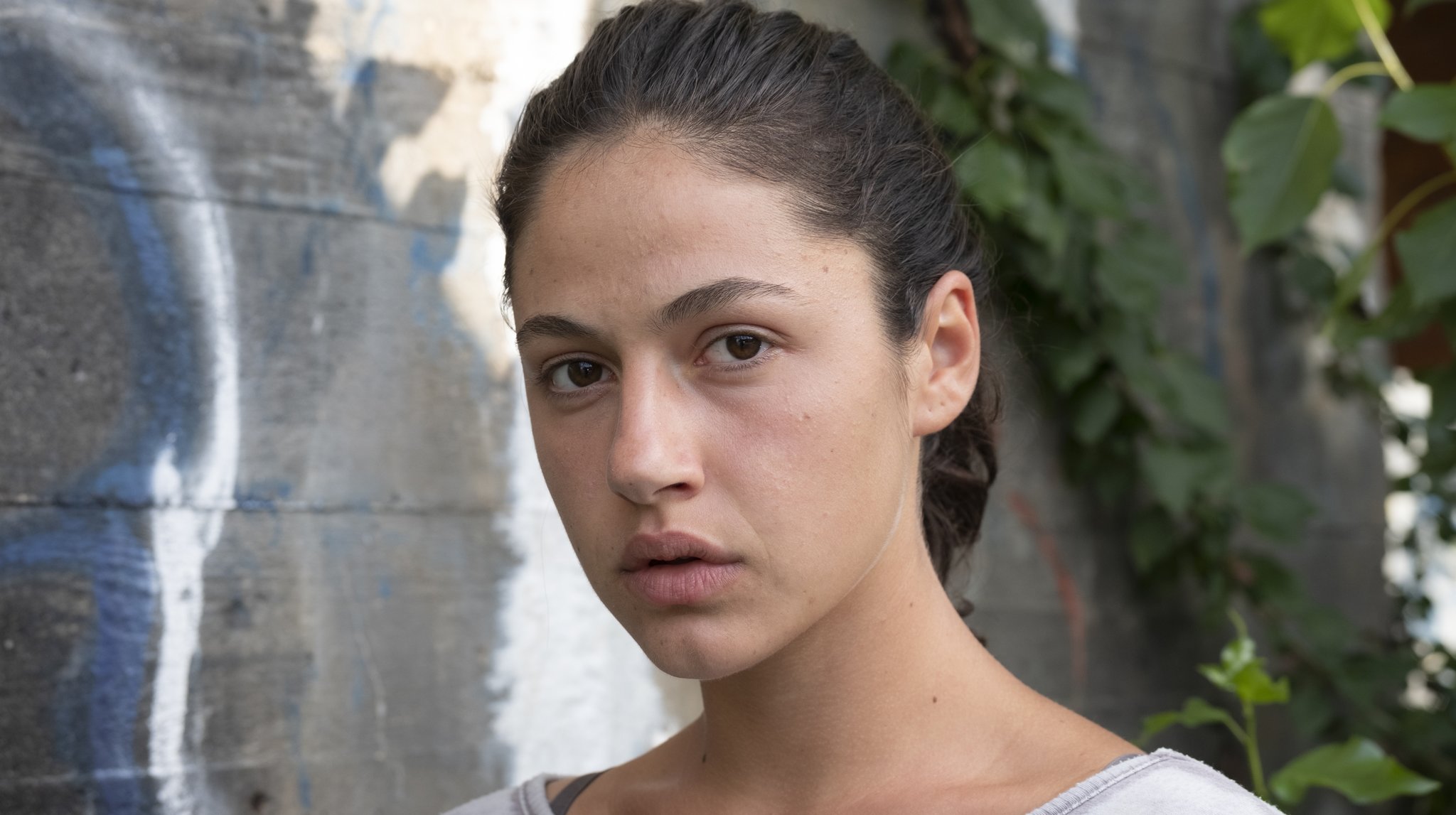 Tatort Borowski und der Fluch der weißen Möwe Tatort Fans